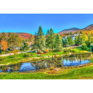 Bluebird Puzzle - Puzzle Stowe, Vermont, USA 1000 - 1 000 piese
