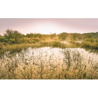 Komar Vliesová fototapeta Morning View II rozměry 400 x 250 cm