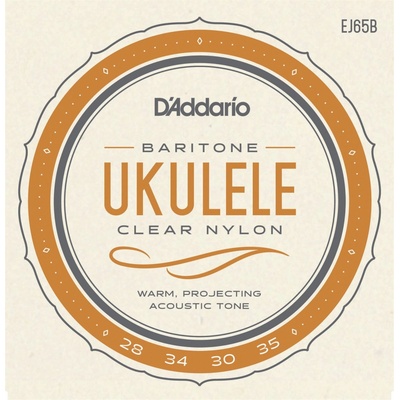 D'Addario EJ65B
