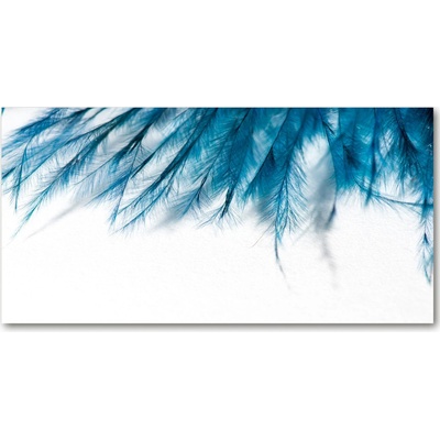 Foto obraz sklo tvrzené Modrná pierka 100x50 cm