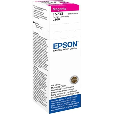 Epson T6733