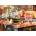 Schmidt Spiele - Puzzle Read: At the kitchen table - 1 000 piese