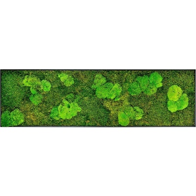 Gardners Mechový obraz 140x40 cm kombinovaný mech kopečkový s plochým, černá - Zachraň Produkt