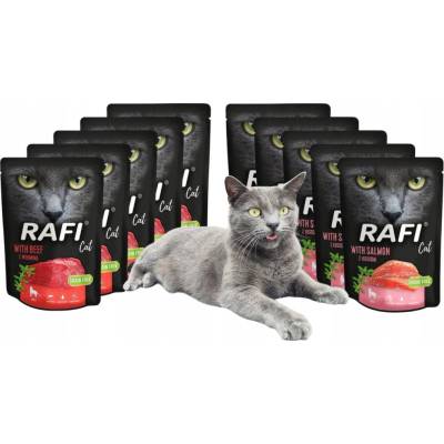 RAFI mokré krmivo pro kočky s lososem 10 x 300 g