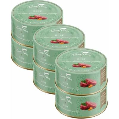 Terra Felis Beef 6 x 80 g