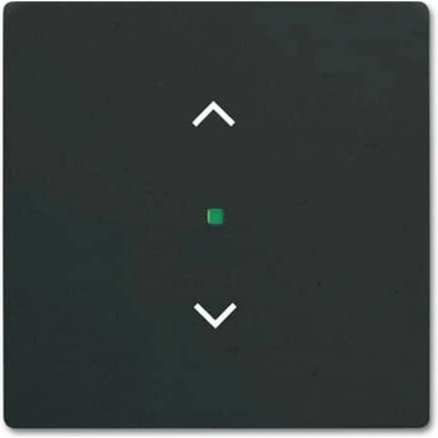 Busch-Jaeger 2CKA006220A0500