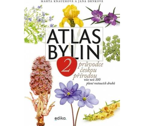 Atlas bylin 2
