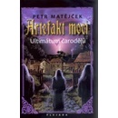 Artefakt moci Petr Matějíček