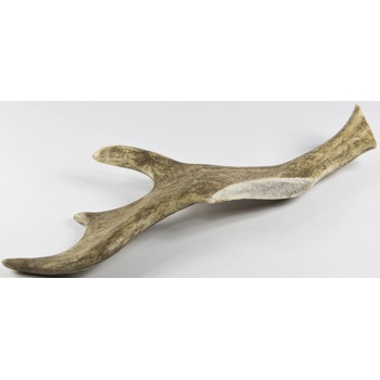 Chew Dančí paroh gigant 180-230 g