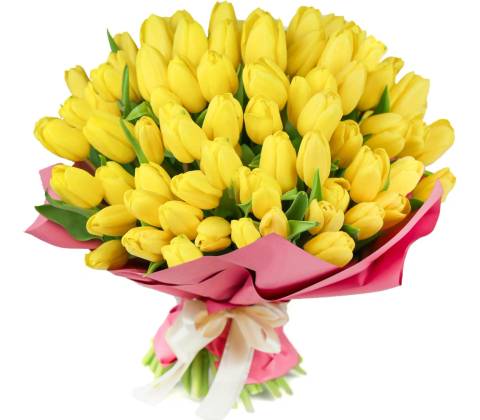 Radostné tulipány: 21