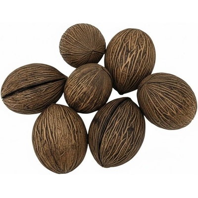 3424 Mintola 7-10cm natur 6ks