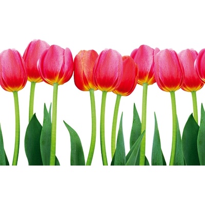 Dimex XL-536 vliesová fototapeta na zeď Záhon tulipánů rozměry 330 x 220 cm