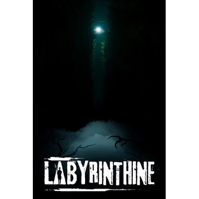 Valko Game Studios Labyrinthine (PC)