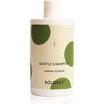 Kolorky Men 2 in 1 Hair & Body Wash душ гел за тяло и коса за мъже Green Vetiver Wood 490ml