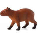 Animal Planet Kapybara