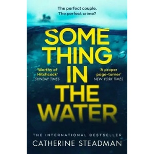 Something in the Water | CATHERINE STEADMAN (ISBN: 9781471167218)