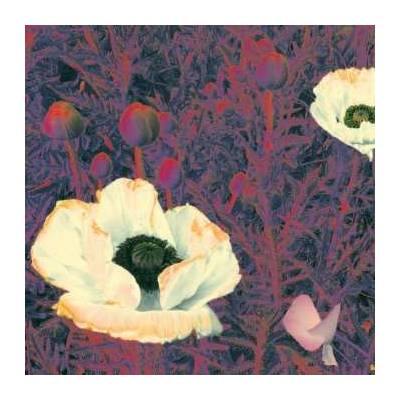 The Green Pajamas - Sunlight Might Weigh Even More CD