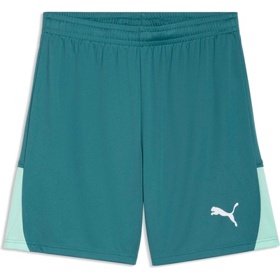 PUMA Teamliga 26 shorts m