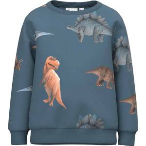 NAME IT Блуза nmmnodino sweat bru (226454329515)