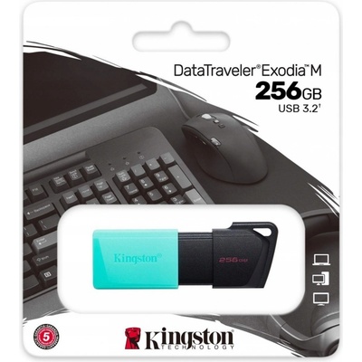 Kingston DataTraveler Exodia M 256GB DTXM/256GB – Zboží Živě