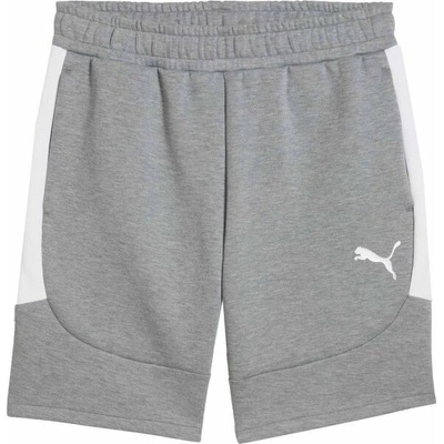 Puma TEAMEVOSTRIPE SHORTS