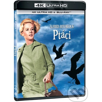 Ptáci BD