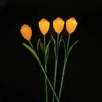 Lightex Led СОЛАРНА ЛАМПА 0.36w ip44 4 БРОЯ В КОМПЛЕКТ lightex tulips (3800883141527)
