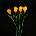 Lightex Led СОЛАРНА ЛАМПА 0.36w ip44 4 БРОЯ В КОМПЛЕКТ lightex tulips (3800883141527)
