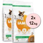 Iams кучешка храна за възрастни малки и средни породи, агнешко 2 x 12 кг