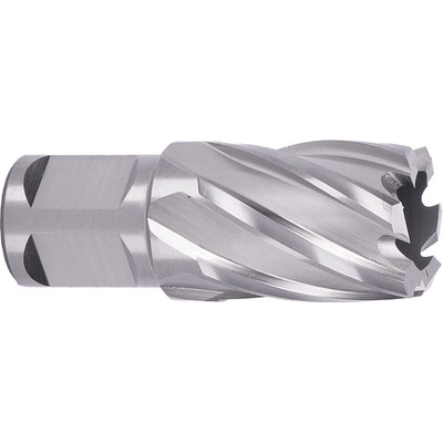 ABSE N-HS-W19-0210025
