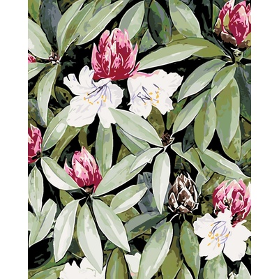 ZUTY Malování podle čísel RODODENDRON S BÍLÝMI A RŮŽOVÝMI KVĚTY ALEXANDRIA GILBERT Rozměr 80 x 100 cm Rámování bez rámu a bez vypnutí plátna