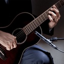 Audio-Technica AT2031