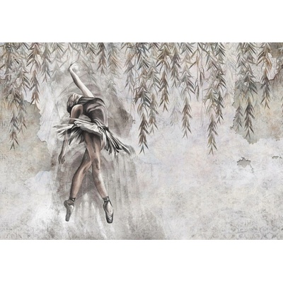 Postershop Fototapeta vliesováBallerina Leaves Willow Structure, rozměry 416x254 cm