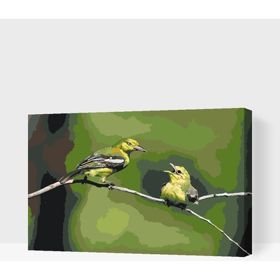 Vymalujsisam Malování podle čísel Ptáci na stromě