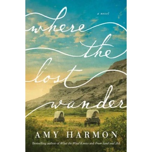 Where the Lost Wander (ISBN: 9781542017961)