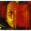 Hudba ALICE IN CHAINS: JAR OF FLIES CD
