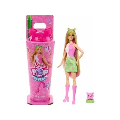 Mattel Barbie Pop Reveal doll from the series: Shake + cat and accessories ZA6061