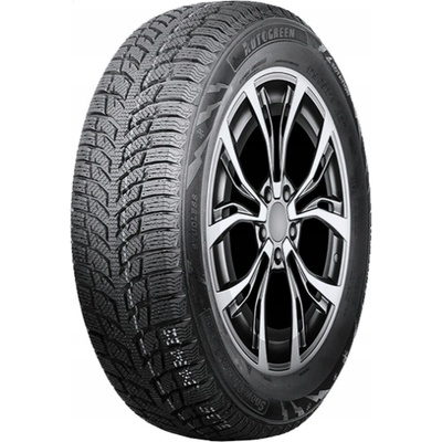 Autogreen Snow Chaser 2 AW08 205/55 R16 91H