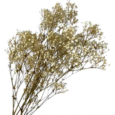 FLOWERIO Stabilizovaná Gypsophila - Nevestin závoj 110g - prírodná biela