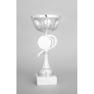 Stříbrný sportovní pohár 23 cm 29 cm 26 cm