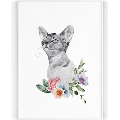 Plakát / Obraz Sphynx 30 x 40 cm Tiskové plátno