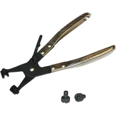 Triumf 100-00673