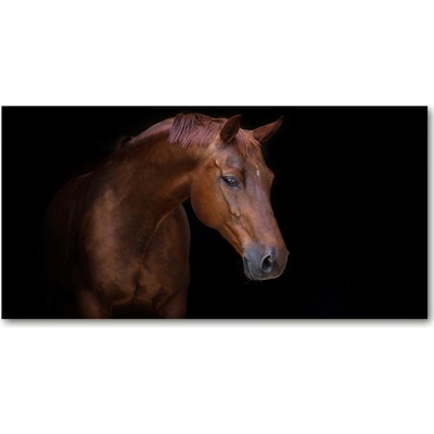 Foto obraz sklo tvrzené hnedý kôň 100x50 cm