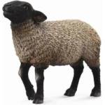 CollectA Suffolk Sheep