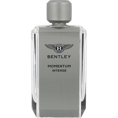 BENTLEY Momentum Intense parfumovaná voda pánska 100 ml
