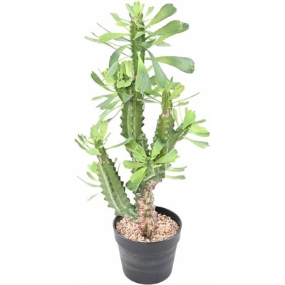 Luxusní umělá rostlina SPURGE LACTEE, 65cm