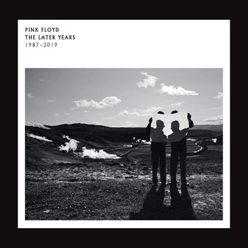 Pink Floyd - The Later Years 1987-2019 (2 LP) (190295378288)