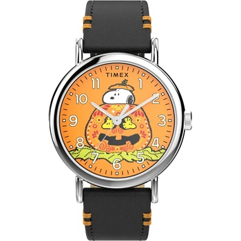 Timex TW2Y12300
