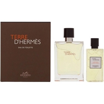 Hermès Terre d`Hermes подаръчен комплект за мъже Размер EDT 100 ml + 80 ml душ гел