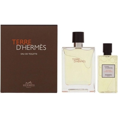 Hermès Terre d`Hermes подаръчен комплект за мъже Размер EDT 100 ml + 80 ml душ гел